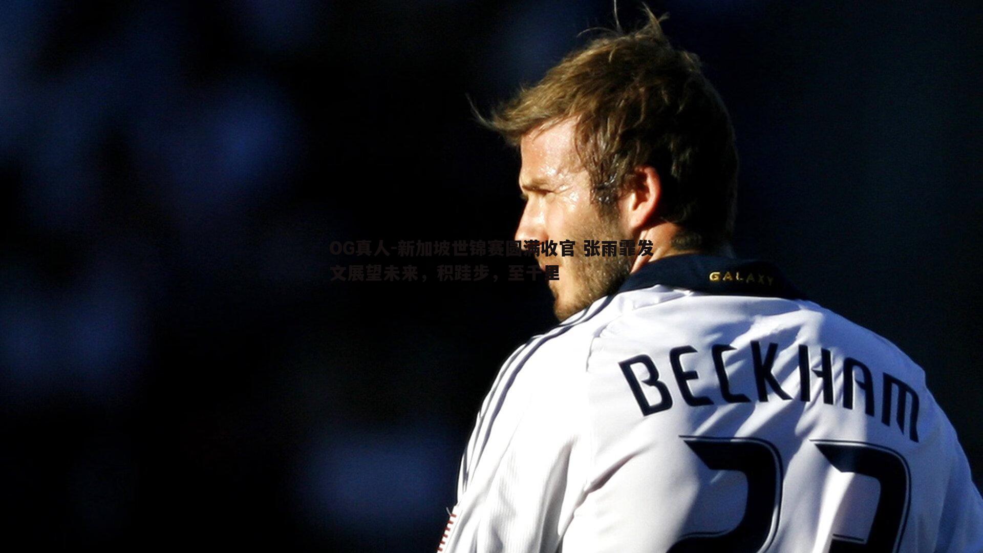 新加坡世锦赛圆满收官 张雨霏发文展望未来,积跬步,至千里