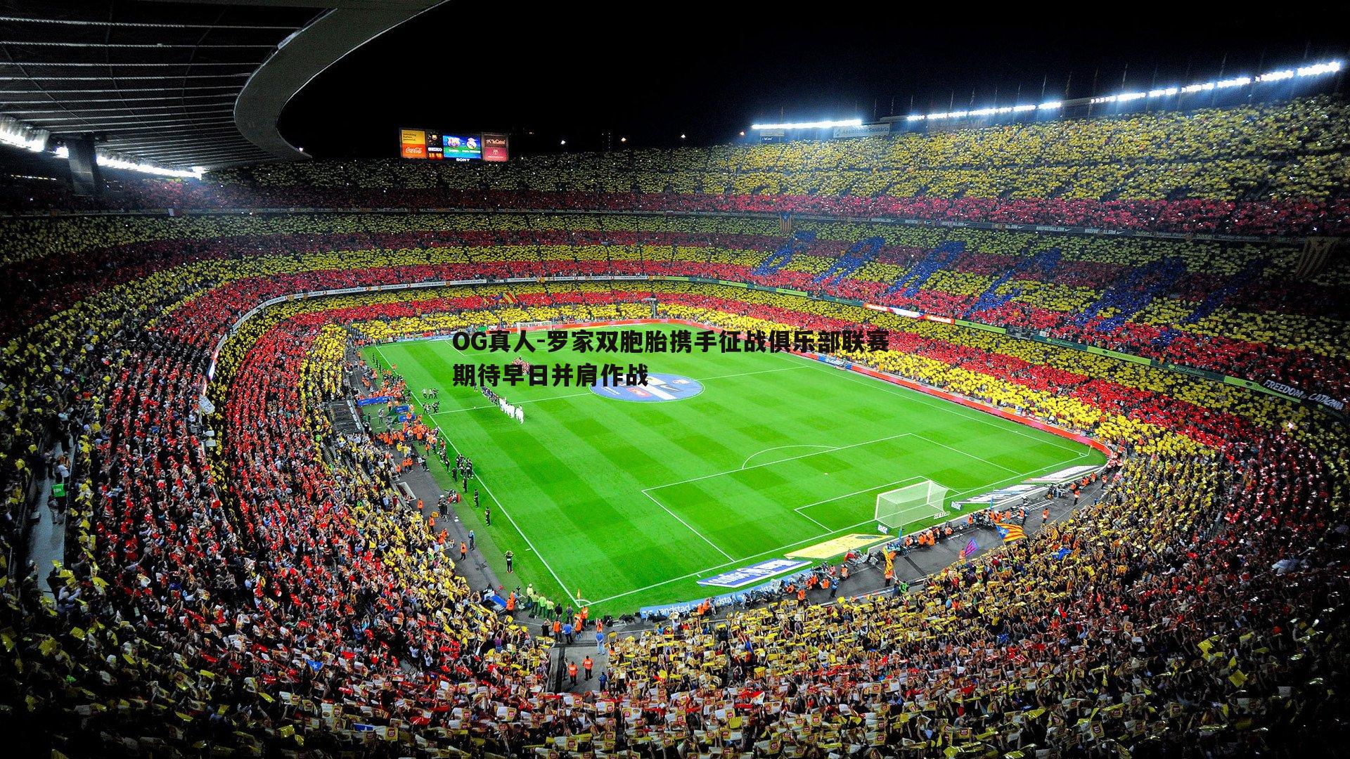 罗家双胞胎携手征战俱乐部联赛 期待早日并肩作战